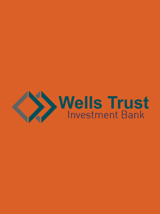 Wells Trust IBN logo on an orange background